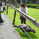 DSCN4410_JPG-1337586304