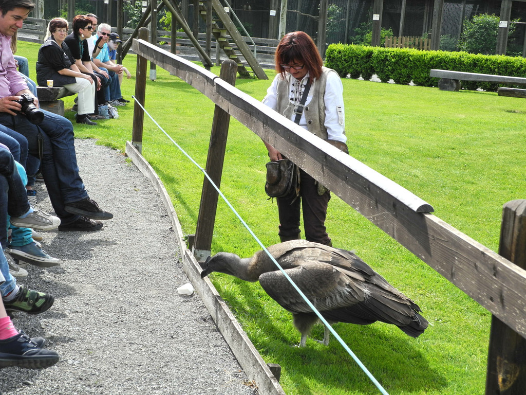 DSCN4410_JPG-1337586304