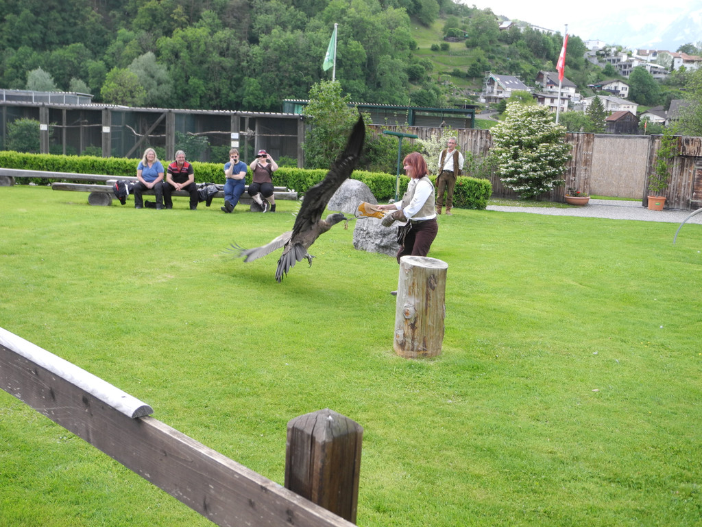 DSCN4423_JPG-1337586514