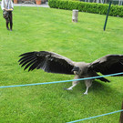 DSCN4425_JPG-1337586664