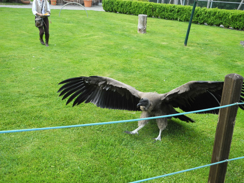 DSCN4425_JPG-1337586664