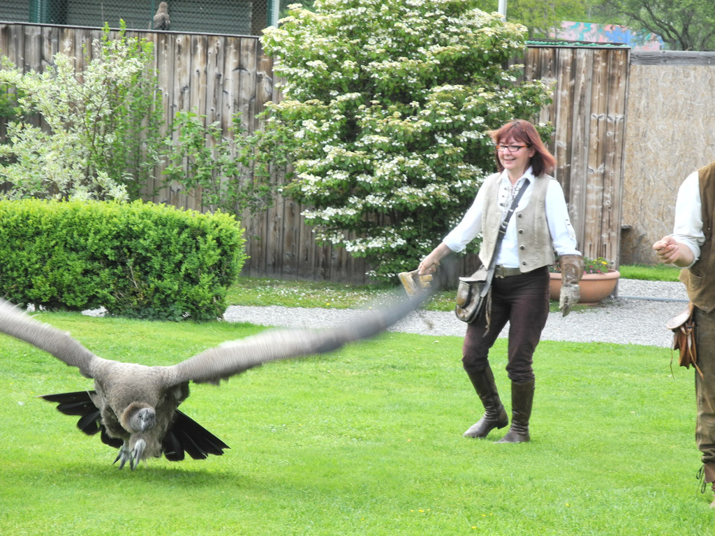 DSCN4442_JPG-1337586892