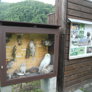 DSCN4448_JPG-1337587000