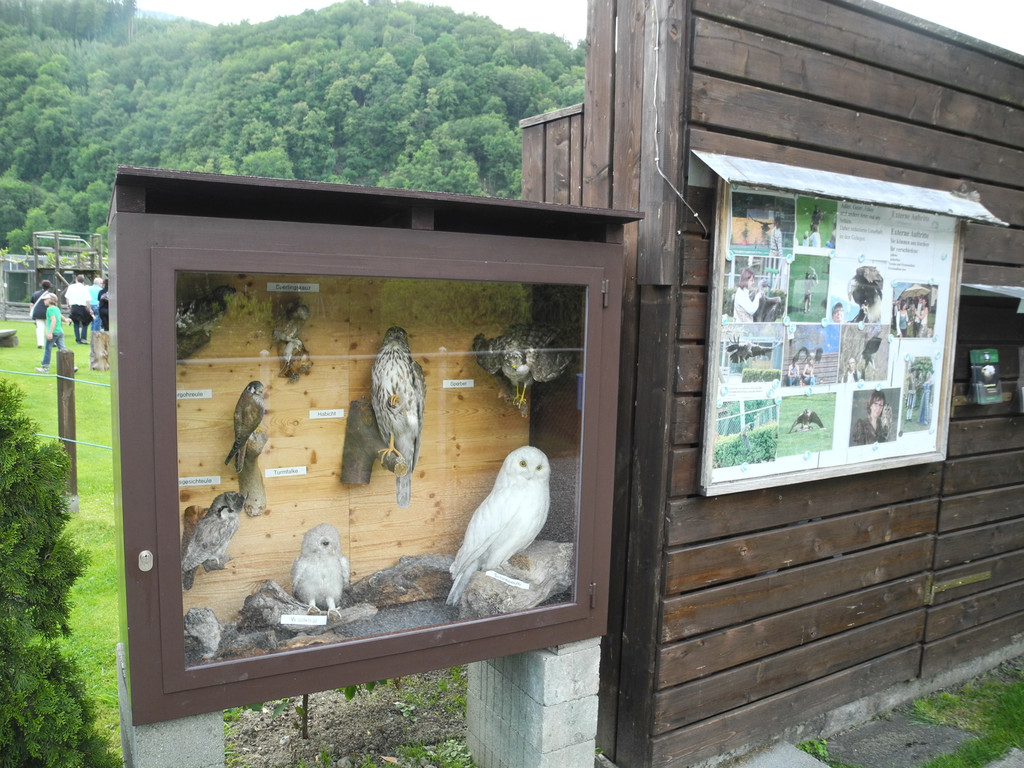 DSCN4448_JPG-1337587000