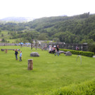 DSCN4450_JPG-1337587037