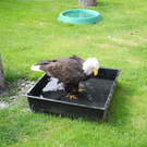 DSCN4451_JPG-1337587083