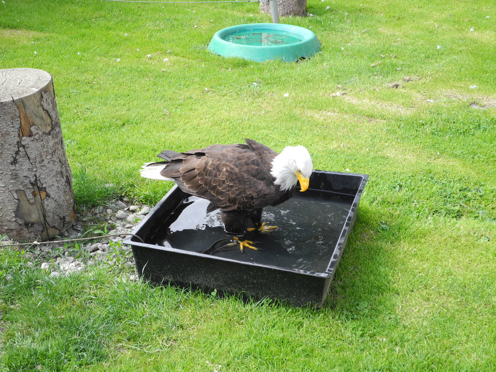 DSCN4451_JPG-1337587083