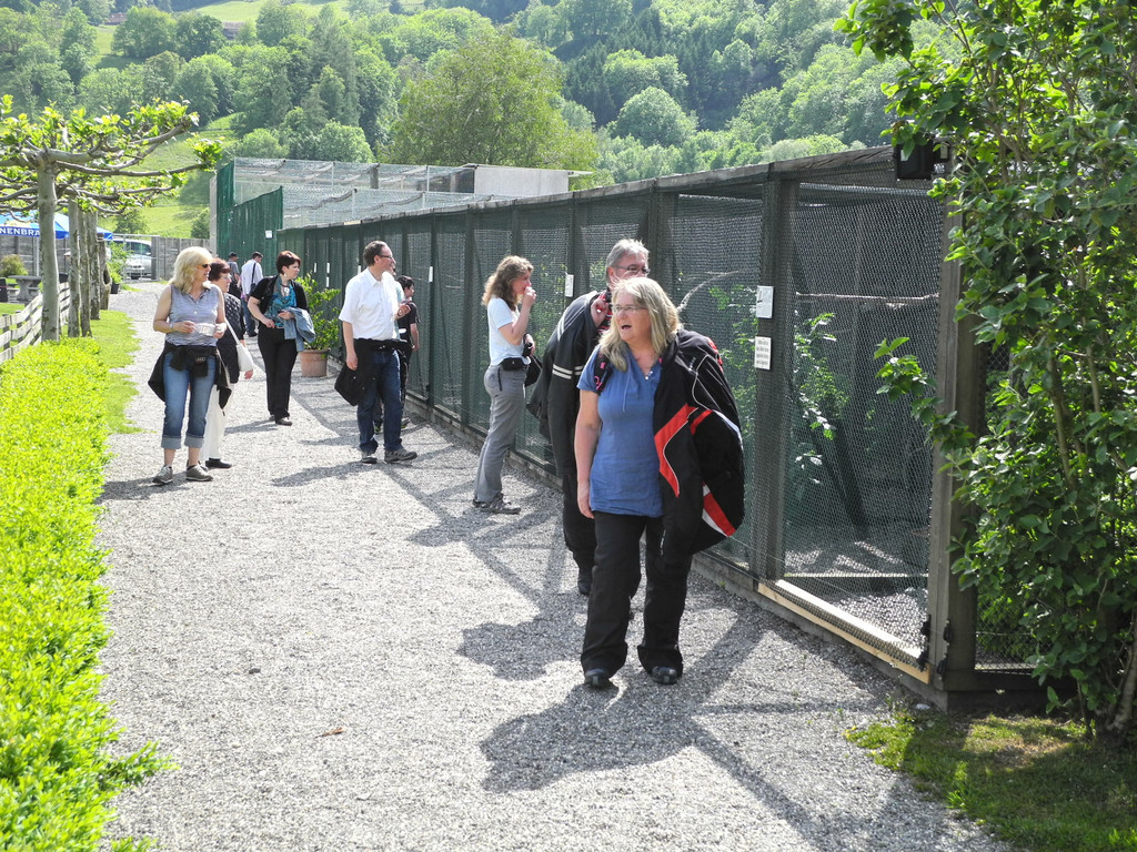 DSCN4455_JPG-1337587196