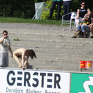 Dornb_ - Neumarkt  2012 556.jpg