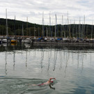 IBD0776-20120521.jpg