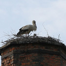 2012-05-19_0084_bearbeitet-1_jpg-1337610550