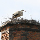 2012-05-19_0004_bearbeitet-1_jpg-1337610581