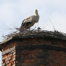 2012-05-19_0035_bearbeitet-1_jpg-1337610614