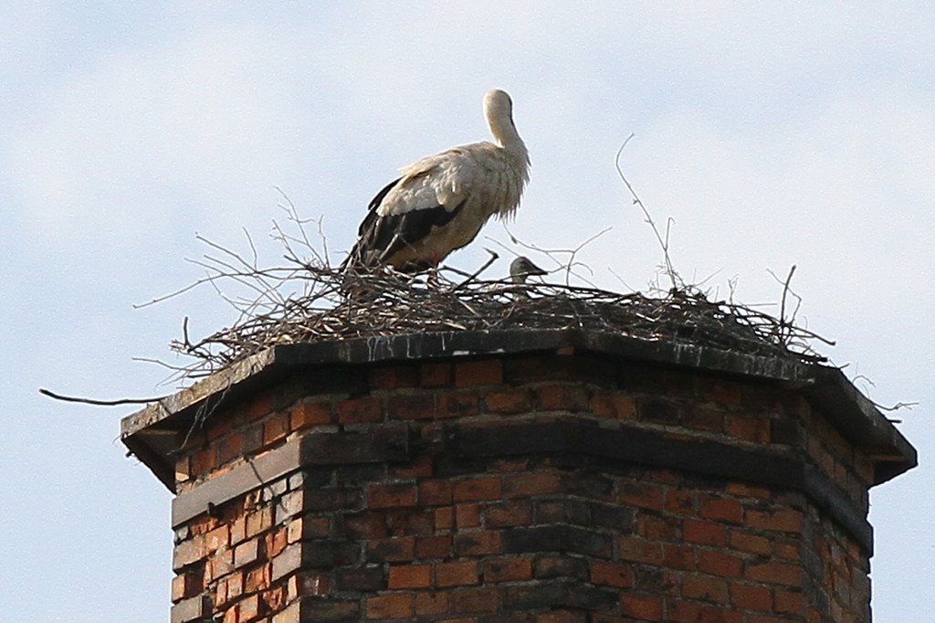 2012-05-19_0035_bearbeitet-1_jpg-1337610614