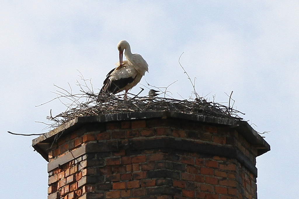 2012-05-19_0043_bearbeitet-1_jpg-1337610683