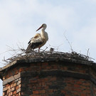 2012-05-19_0047_bearbeitet-1_jpg-1337610716