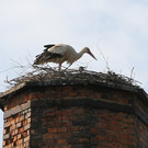 2012-05-19_0051_bearbeitet-1_jpg-1337610782