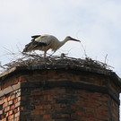 2012-05-19_0052_bearbeitet-1_jpg-1337610815