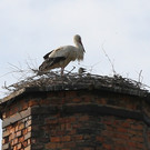 2012-05-19_0066_bearbeitet-1_jpg-1337610977
