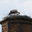 2012-05-19_0071_bearbeitet-1_jpg-1337611009
