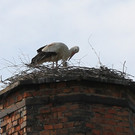 2012-05-19_0075_bearbeitet-1_jpg-1337611040