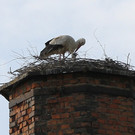 2012-05-19_0076_bearbeitet-1_jpg-1337611073