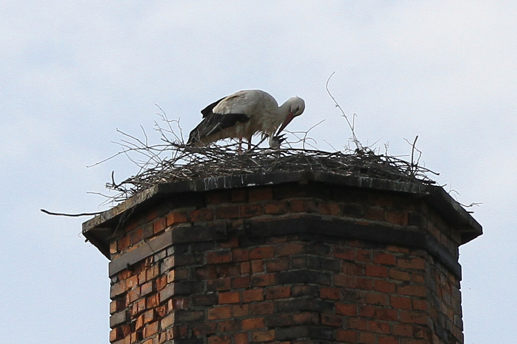 2012-05-19_0076_bearbeitet-1_jpg-1337611073