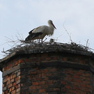 2012-05-19_0082_bearbeitet-1_jpg-1337611106