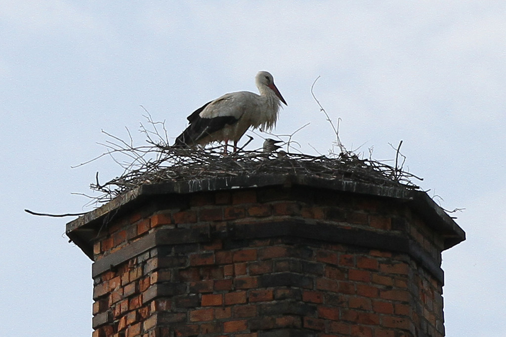 2012-05-19_0082_bearbeitet-1_jpg-1337611106