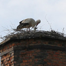 2012-05-19_0077_bearbeitet-1_jpg-1337614640