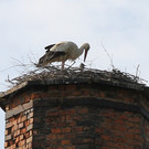 2012-05-19_0055_bearbeitet-1_jpg-1337614706