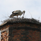 2012-05-19_0056_bearbeitet-1_jpg-1337614738