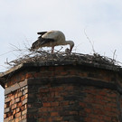 2012-05-19_0057_bearbeitet-1_jpg-1337614771