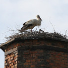 2012-05-19_0061_1_jpg-1337614804