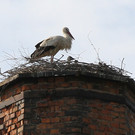 2012-05-19_0062_bearbeitet-1_jpg-1337614836
