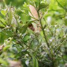 IMG_2945.JPG