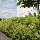 IMG_2944.JPG