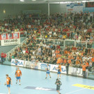 DSC08817.JPG