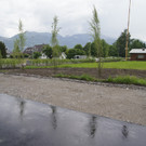DSC02451.JPG