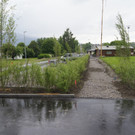 DSC02452.JPG