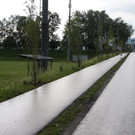 DSC02466.JPG