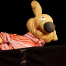 DSC02482_JPG-1337636519