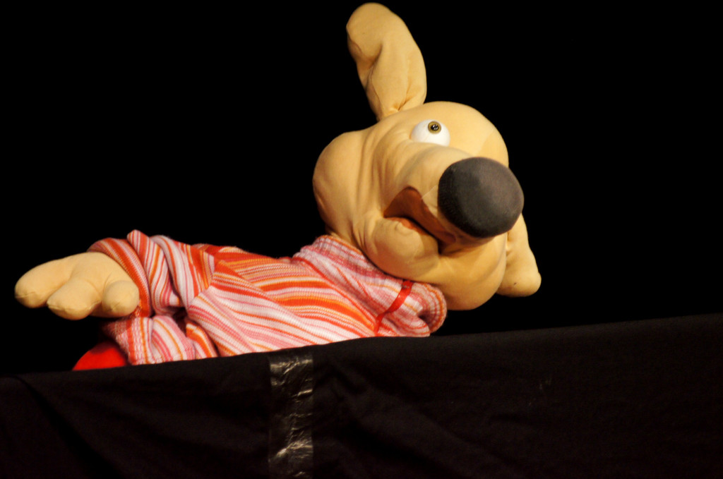 DSC02482_JPG-1337636519