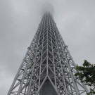 DAB0738-20120522.jpg