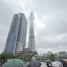 IBD0118-20120522.jpg