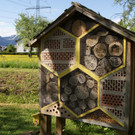 Tag der offenen Tür - Lehrbienenstand Wolfurt im Mai 2012