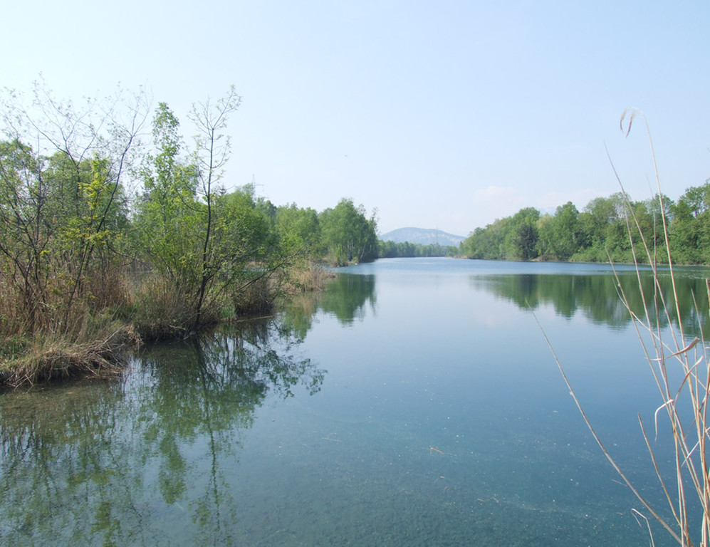 A_ Rhein1_jpg-1337689889