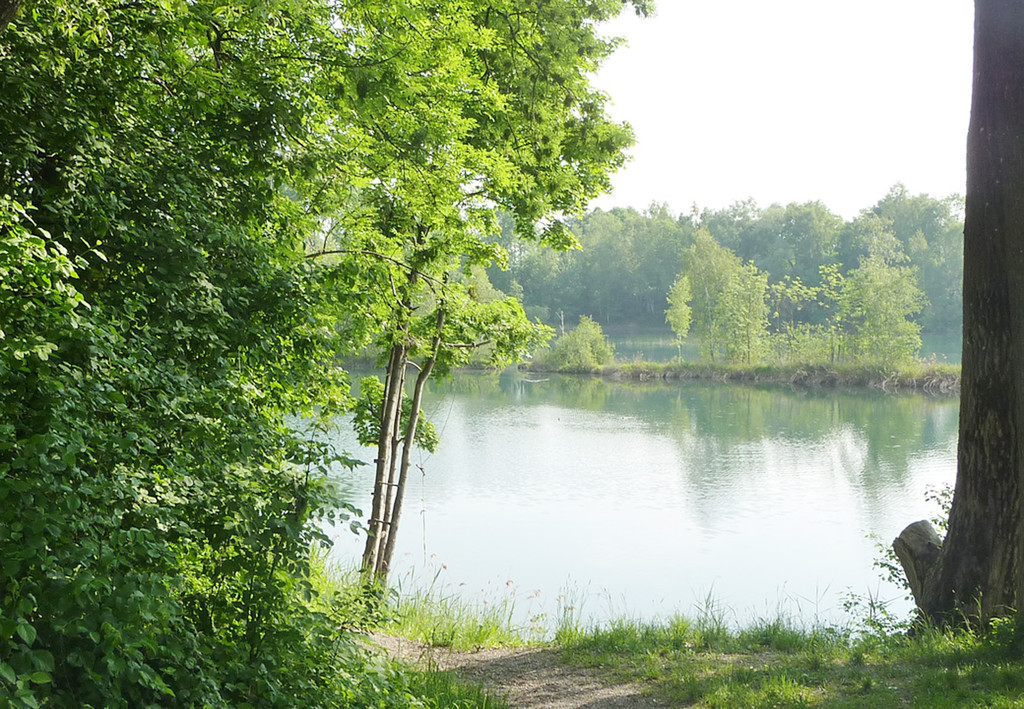 A_ Rhein1a_jpg-1337689896