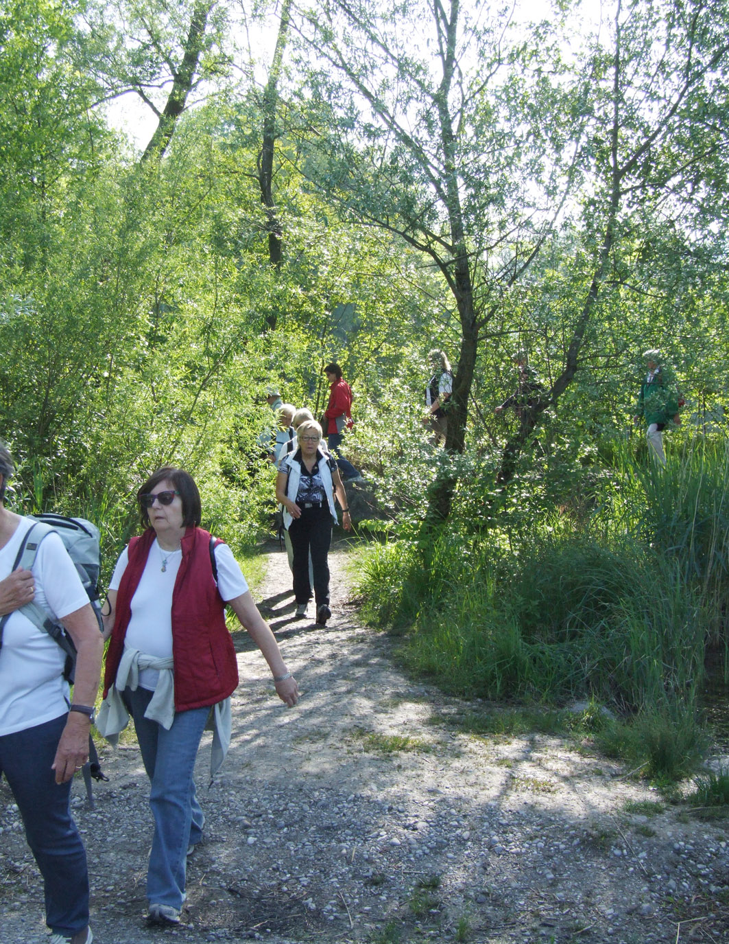 Auenweg_jpg-1337689905