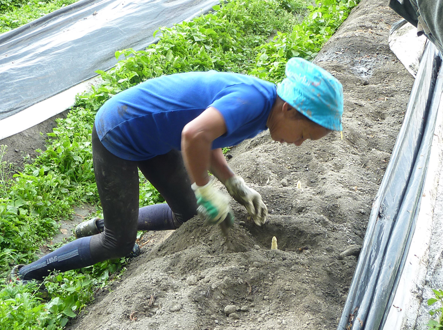 beim Abstechen_jpg-1337689914